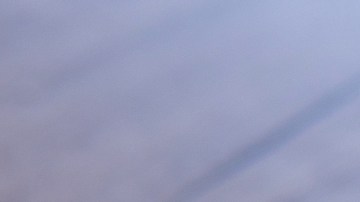 Rol de la dieta en la salud hormonal: alimentos y bebidas podrían estar saboteando tus niveles de testosterona