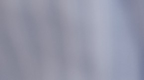 Revelan una dieta sencilla y breve que te hará reducir el colesterol alto durante semanas