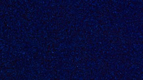 Un grupo de amigos jóvenes posa sonriente frente a la esfera iluminada de Spaceship Earth en EPCOT, Walt Disney World, durante la noche.