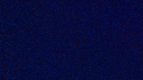 Un grupo de amigos jóvenes posa sonriente frente a la esfera iluminada de Spaceship Earth en EPCOT, Walt Disney World, durante la noche.