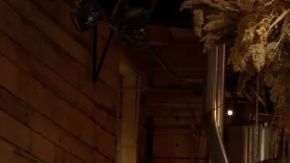 Dodge Hornet GT y Dodge Hornet RT 2025