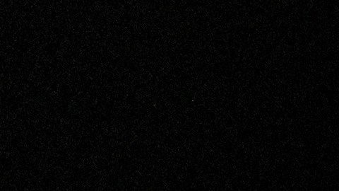 Donald Trump dice que no asistirá al Super Bowl 2026 y critica a los artistas elegidos