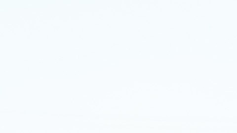 Dos agentes federales involucrados en tiroteo fatal de Alex Pretti puestos bajo licencia