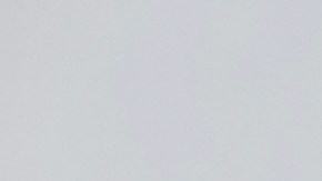 Ed Markey, senador demócrata, pide la destitución de Trump bajo la Enmienda 25