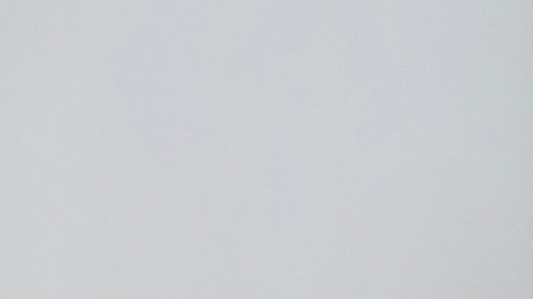 Ed Markey, senador demócrata, pide la destitución de Trump bajo la Enmienda 25