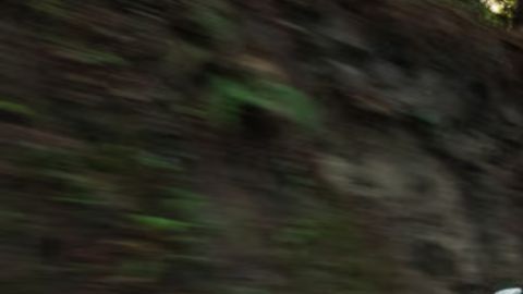 El Kia Niro, un EV codiciado