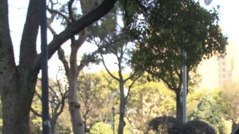 El espectacular Mazda MX-5 Miata 2026