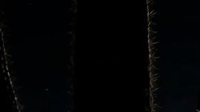 El llamativo y novedoso DarkSky One