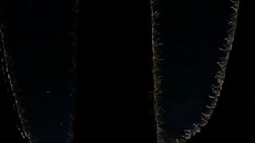 El llamativo y novedoso DarkSky One