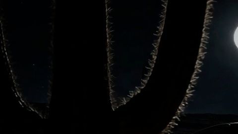 El llamativo y novedoso DarkSky One