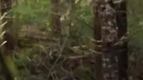 El rally mundialista prepara su retorno al mercado estadounidense