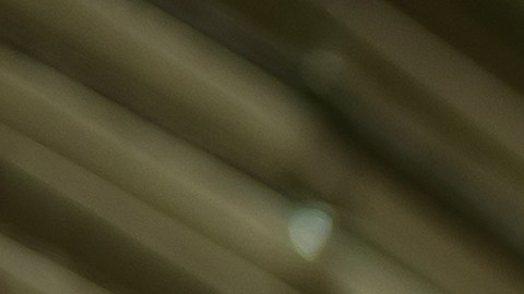 Eliminación de los beneficios laborales