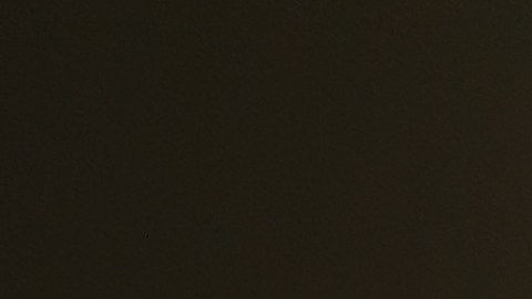 Encuesta revela que mujeres eligen su bienestar sobre el desequilibrio laboral