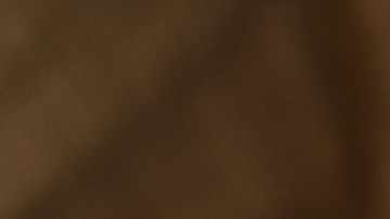 Revelan que terapia de sonido elimina del cerebro proteínas tóxicas del Alzheimer