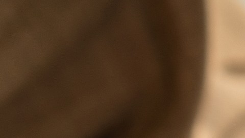 Revelan que terapia de sonido elimina del cerebro proteínas tóxicas del Alzheimer