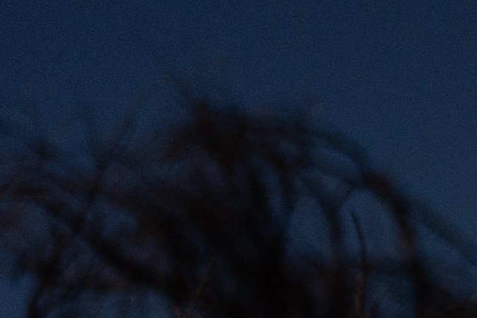 A sign reading "This Home Will Rise Again" stands on a property where a home once stood in the Pacific Palisades neighborhood of Los Angeles, Friday, Dec. 5, 2025, months after the Palisades Fire. (AP Photo/Jae C. Hong)