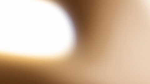 Retiran de forma urgente medicamentos tras contaminación por heces de roedores