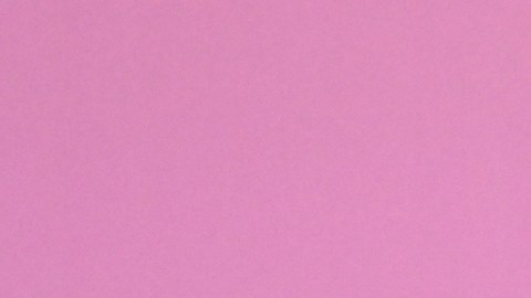 ¡Se terminó el 'Ferxxo' amor! Karol G y Feid se separan