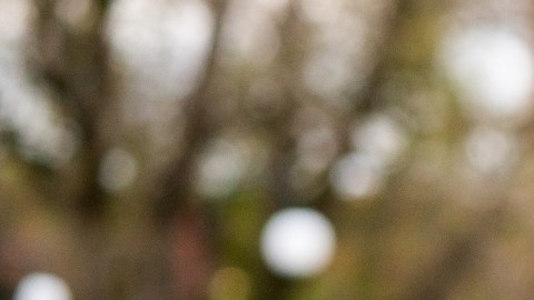 Impacto del frío: recomendaciones para afrontar las inclemencias del clima