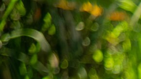 El amor entre Doménica y Luis Fernando no se puede negar.