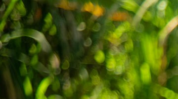 El amor entre Doménica y Luis Fernando no se puede negar.