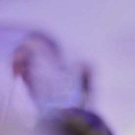 Gavin Newsom, gobernador de California