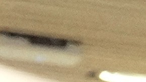 Gobernador de California, Gavin Newsom, pide la renuncia de Kristi Noem