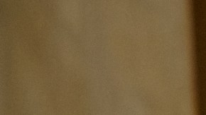 Entretanto EE.UU. se retira de la OMS, California la acoge con beneplácito