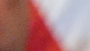 Greg Abbott frena visas H-1B