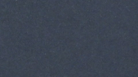 Gwyneth Paltrow revela su incomodidad al filmar escenas íntimas con Timothée Chalamet en “Marty Supreme”