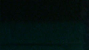 Científicas presentan castor robótico en Hoppers de Pixar 2026