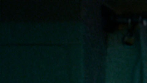 Científicas presentan castor robótico en Hoppers de Pixar 2026