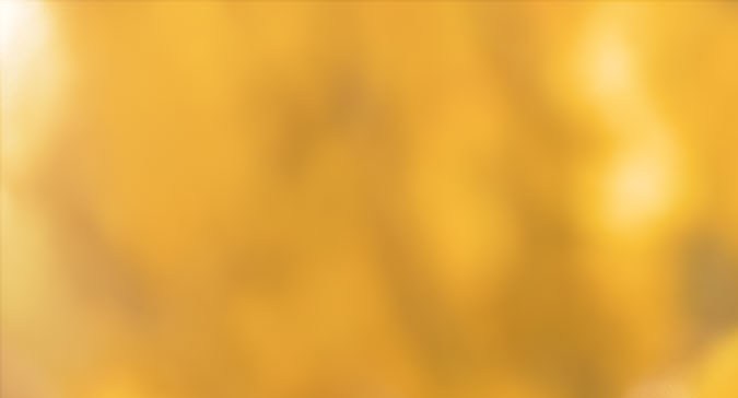 King George y castor en Hoppers, película de Pixar dirigida por Daniel Chong