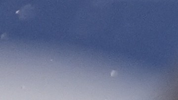 ICE detiene a cuatro estudiantes en Minnesota, incluyendo a un niño de 5 años