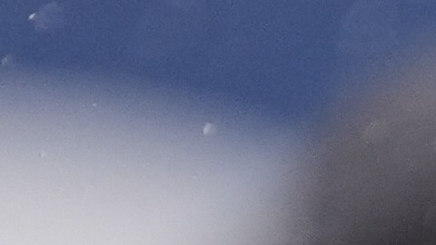 ICE detiene a cuatro estudiantes en Minnesota, incluyendo a un niño de 5 años