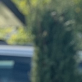 Aranza Guerrero revela en una fiesta la universidad a la que irá este año.