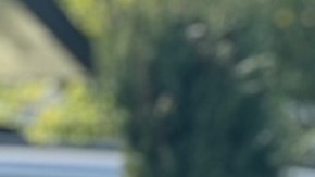 Aranza Guerrero revela en una fiesta la universidad a la que irá este año.