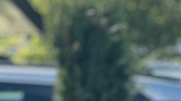 Aranza Guerrero revela en una fiesta la universidad a la que irá este año.