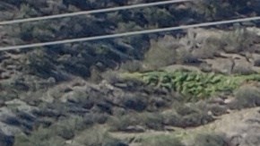 El K4 Hatchback de Kia Gt-Line Turbo, está listo para conquistar las carreteras. /LFC