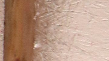 Trabajadores de construcción reparan una casa en Altadena.