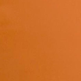 Rocío Mejía, directora de la Financiera para el Bienestar viene a Los Ángeles.