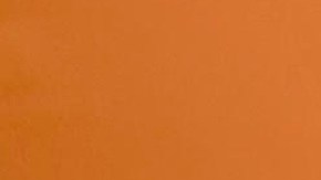 Rocío Mejía, directora de la Financiera para el Bienestar viene a Los Ángeles.