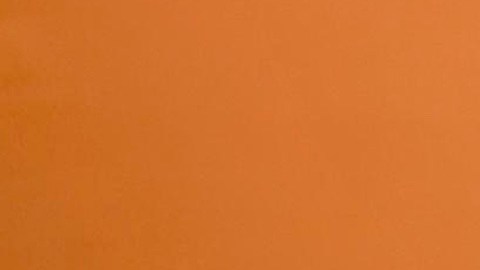 Rocío Mejía, directora de la Financiera para el Bienestar viene a Los Ángeles.