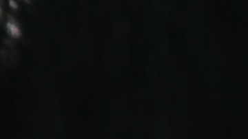 La semana pasada se reportaron 12 personas detenidas por ICE.