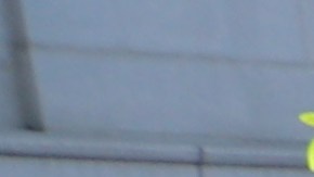 Los angelinos salieron a pedir el fin de las redadas.