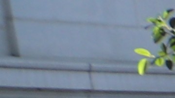 Los angelinos salieron a pedir el fin de las redadas.