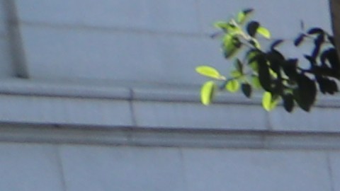 Los angelinos salieron a pedir el fin de las redadas.