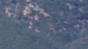 Masamigos, un estilo de comida que busca recordar la calidad de los platillos caseros.