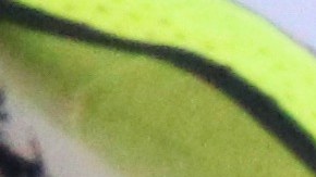 Inmigrantes de todas las edades están saliendo a defender a los inmigrantes de las redadas.