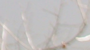 Richard Roblero y su esposa Julie venden burritos estilo Sonora.